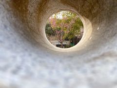 -同里国家湿地公园