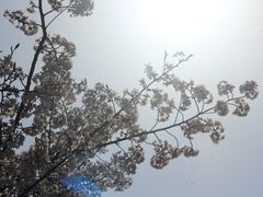 -堤角公园