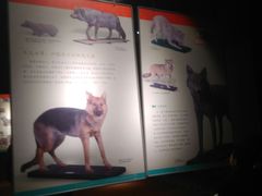 -洛阳周王城天子驾六博物馆