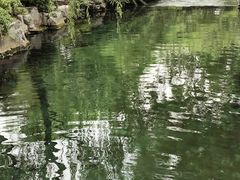 -趵突泉景区