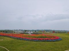 -空港花田景区