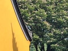 -灵顺寺