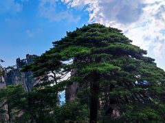 -黄山风景区
