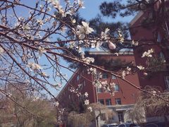 -长春市十一高中