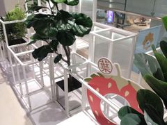 -叶子与茶(苏宁广场店)