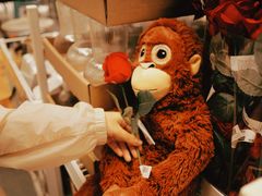 -宜家家居(四元桥商场店)