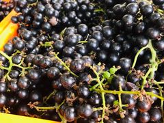 -生态苑农庄(十里画廊遇龙河店)