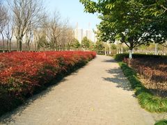 -白塘生态植物园