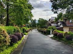 -佛冈森波拉度假区