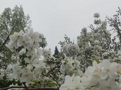 -元大都城垣遗址公园