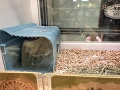 -龙猫仔乐园(惠福东路店)