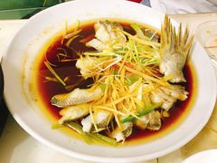 -煲来饱去冷水鱼