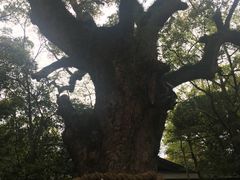 -热田神宫