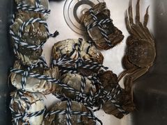 -岳各庄批发市场(西四环中路店)