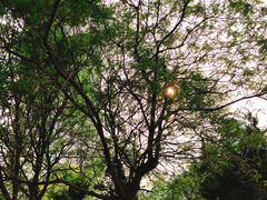 -和平区健康主题公园