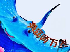 -海合安武汉极地海洋公园