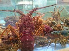 android_upload_pic-旺顺阁海鲜广场(亚运村店)