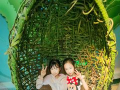 -正佳雨林生态植物园