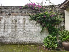 -金谷域澳洲庄园