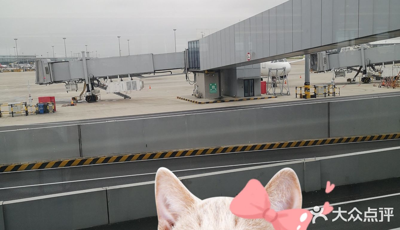 真的会打回头了！！！