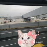 真的会打回头了！！！