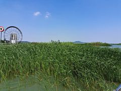 -苏州太湖湖滨国家湿地公园