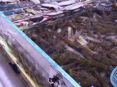 -聚盛源蒸汽海鲜火锅烤肉自助(巨川金海岸购物广场店)