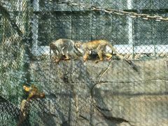 -泉州海丝野生动物世界