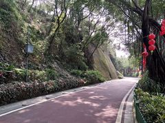 -金鸡山公园