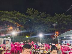 -霞姐屯昌枫木香草鸭店(海螺店)