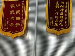 -美美宠物诊疗中心·异宠·骨科(滨江东信分院)
