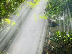 -青青世界