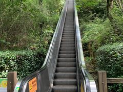 -天目湖山水园