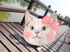 -西青郊野公园