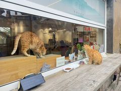 -南枝小馆(银鱼巷店)