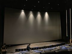 -英皇电影城(英皇集团中心IMAX店)