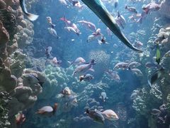 -海合安青岛极地海洋公园