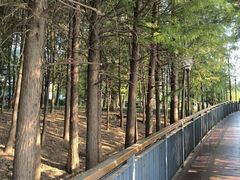 -月湖风景区