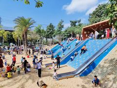 -宝安西湾红树林湿地公园