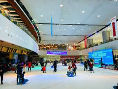 -TheRink大零溜冰场(IFS国金中心店)