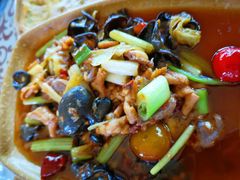 -青城甲(青城山店)