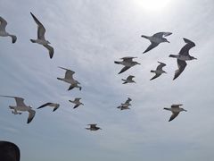 -海驴岛(荣成市)