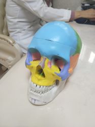 -圣嘉新医疗美容医院