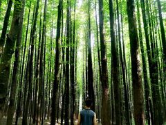 -山王坪喀斯特国家生态公园