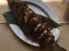 烤虹鳟鱼-北京水岸山吧度假村(雁栖镇店)