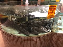 -团圆食府(新东路店)