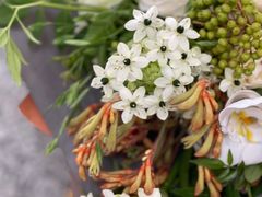 -花到家(富贵鸟花艺行)