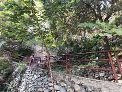 -北京鹫峰国家森林公园