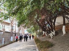 -昆明动物园