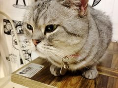 -小时光咖啡馆(开森度假森林店)